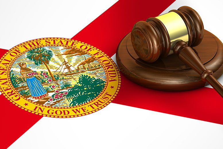 Florida Criminal Case Process